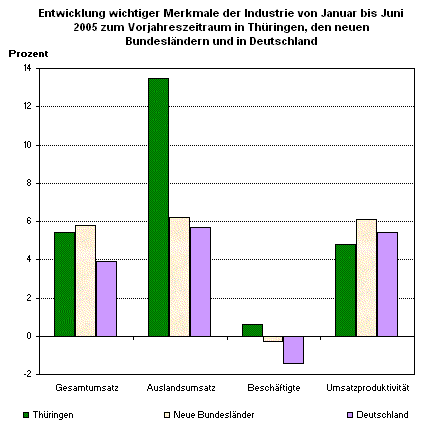 Entwicklung wichtiger Merkmale der Industrie von Januar bis Juni 2005