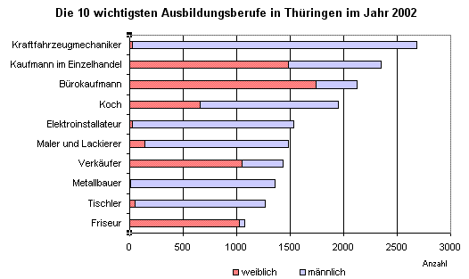 Die 10 wichtigsten Ausbildungsberufe in Thüringen im Jahr 2002