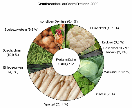 Freilandgemüseanbau 2009 in Thüringen - Anbaufläche um ein Fünftel geringer als im Vorjahr