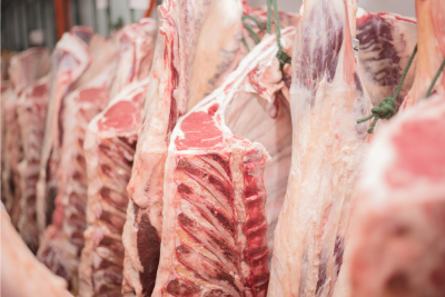 zur Pressemitteilung 248 vom 17. November 2023: „Schlachtungen und Fleischerzeugung in den ersten 3 Quartalen 2023 rückläufig“ im PDF-Format