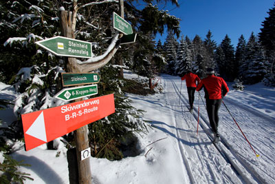 zur Pressemitteilung 023 vom 30. Januar 2026: „Tourismus im November 2025<br><thin>Leichter Zuwachs an Übernachtungen </thin>“ im PDF-Format