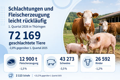 zur Pressemitteilung 128 vom 29. Mai 2026: „Schlachtungen und Fleischerzeugung im 1. Quartal 2026 leicht rückläufig “ im PDF-Format