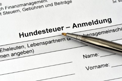 zur Pressemitteilung 251 vom 8. Oktober 2026: „Thüringer Gemeinden nehmen im Jahr 2025 fast 9,4 Millionen Euro Hundesteuer ein“ im PDF-Format